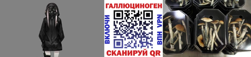 сайты даркнета наркотические препараты  Нефтегорск  Галлюциногенные грибы мухоморы 